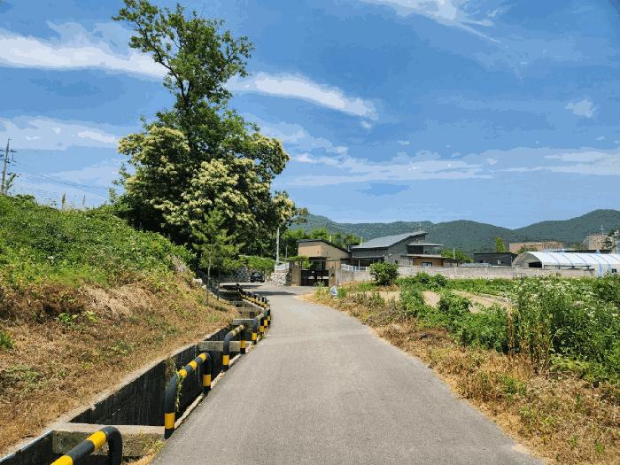 경기도 용인시 처인구 원삼면 사암리 27-3 답 경매 사진 3