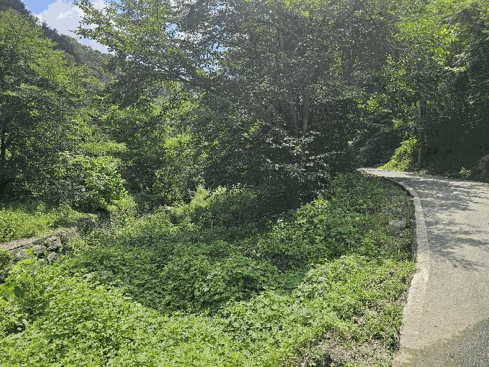경기도 가평군 가평읍 산유리 573 답 경매 사진 10