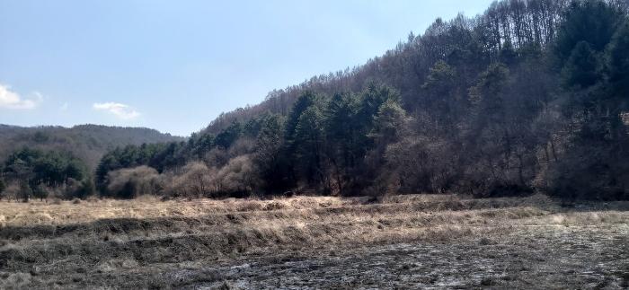 충청북도 청주시 상당구 미원면 쌍이리 213-2 답 경매 사진 15