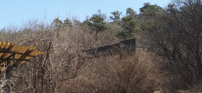 충청북도 청주시 상당구 미원면 쌍이리 213-2 답 경매 사진 16