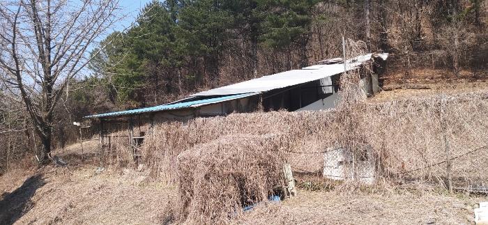 충청북도 청주시 상당구 미원면 쌍이리 213-2 답 경매 사진 9