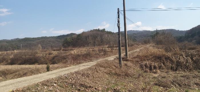충청북도 청주시 상당구 미원면 쌍이리 328-1 임야 경매 사진 1