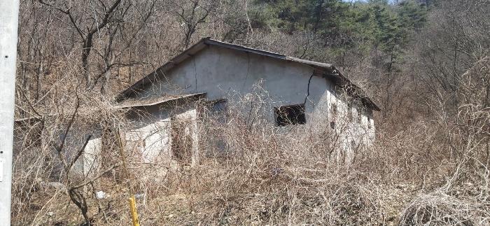 충청북도 청주시 상당구 미원면 쌍이리 328-1 임야 경매 사진 10