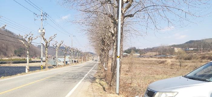 충청북도 청주시 상당구 미원면 쌍이리 328-1 임야 경매 사진 14