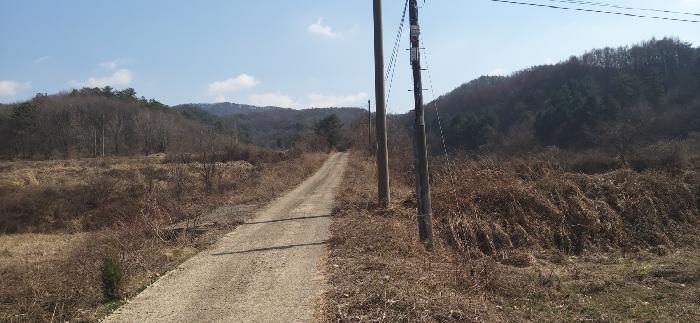 충청북도 청주시 상당구 미원면 쌍이리 328-1 임야 경매 사진 8
