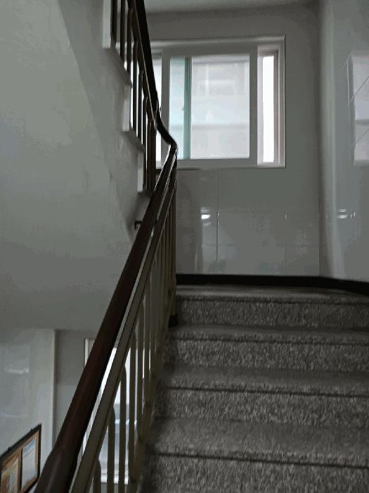 경기도 안산시 상록구 사동 1251-4 2층201호 다세대(빌라) 경매 사진 3