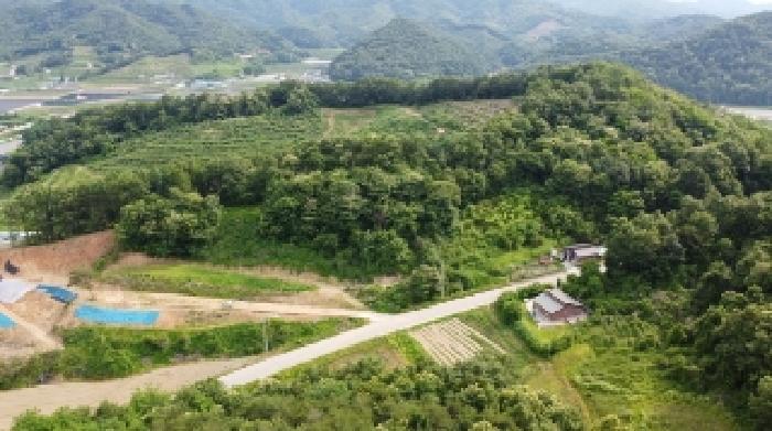 충청북도 괴산군 불정면 웅동리 182-1 전 경매 사진 13