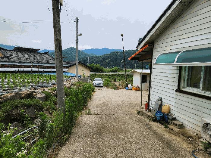 충청북도 괴산군 불정면 웅동리 182-1 전 경매 사진 5