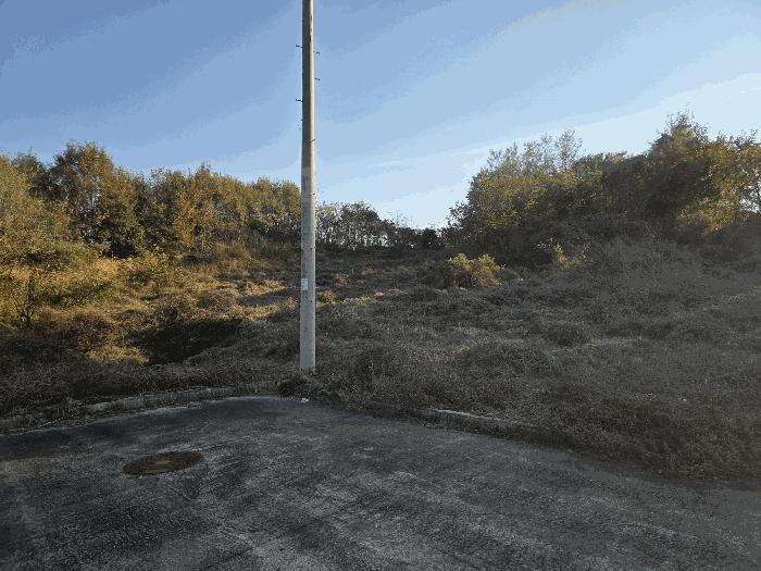 충청북도 진천군 덕산읍 화상리 585-84 과수원 경매 사진 4