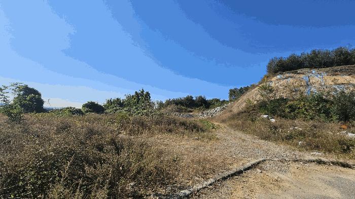 충청북도 청주시 흥덕구 옥산면 국사리 산3-5 임야 경매 사진 3