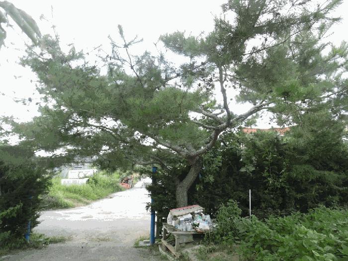 충청북도 청주시 상당구 가덕면 인차리 327-18 근린주택 경매 사진 11