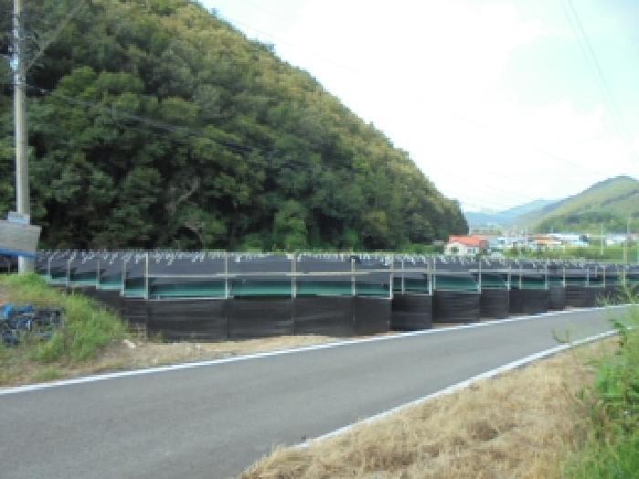 충청북도 보은군 산외면 오대리 439 답 경매 사진 14