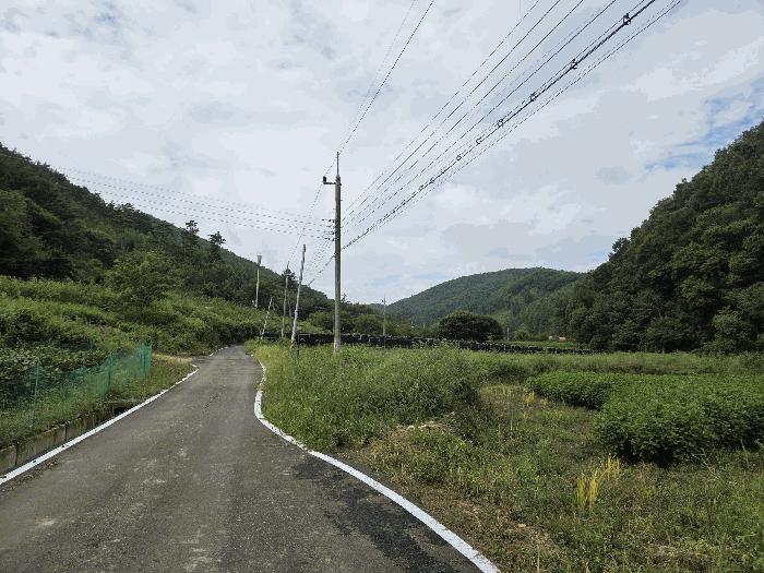 충청북도 보은군 산외면 산대리 131 전 경매 사진 2