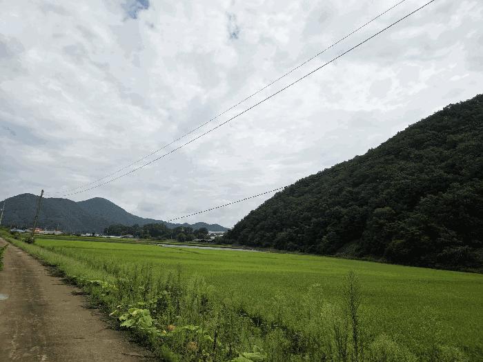충청북도 보은군 산외면 산대리 131 전 경매 사진 3
