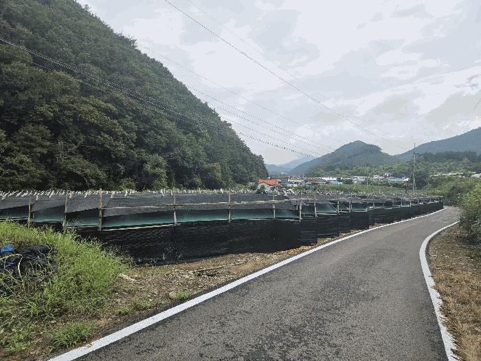 충청북도 보은군 산외면 산대리 129-9 주택 경매 사진 1