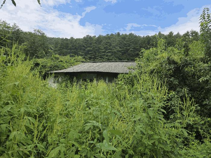충청북도 보은군 산외면 산대리 129-9 주택 경매 사진 4