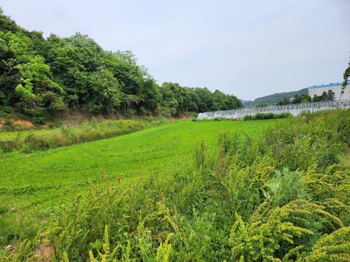 충청남도 서천군 비인면 관리 286 전 경매 사진 4