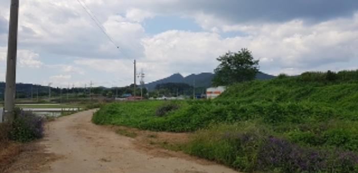 충청남도 서천군 비인면 관리 634-10 창고 경매 사진 16