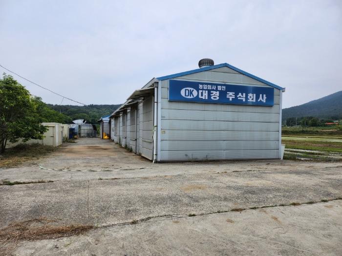 충청남도 서천군 비인면 관리 634-10 창고 경매 사진 5