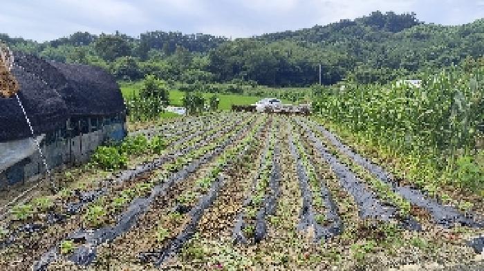충청남도 홍성군 금마면 부평리 592 전 경매 사진 11