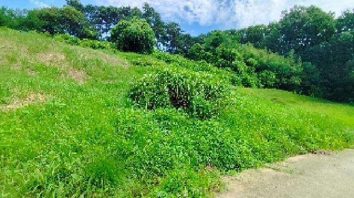 충청남도 홍성군 금마면 부평리 592 전 경매 사진 15