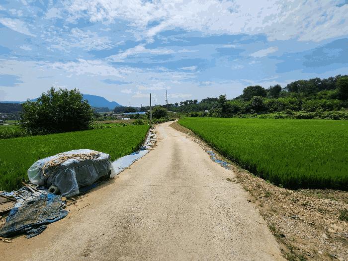 충청남도 홍성군 금마면 부평리 592 전 경매 사진 2