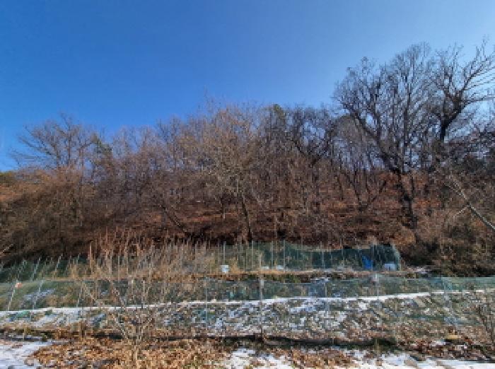 대전광역시 동구 삼괴동 21 임야 경매 사진 18