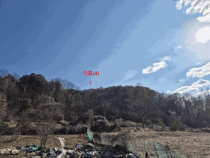 대전광역시 동구 삼괴동 21 임야 경매 사진 6