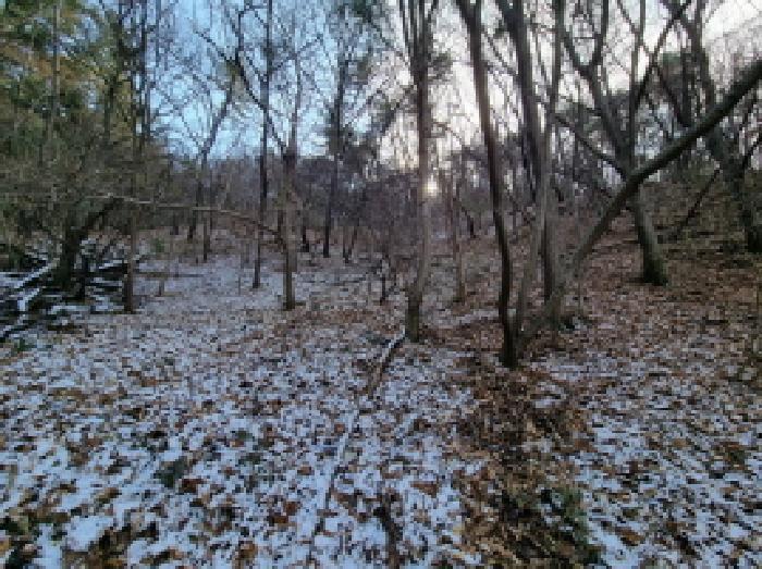 대전광역시 동구 삼괴동 25 전 경매 사진 12