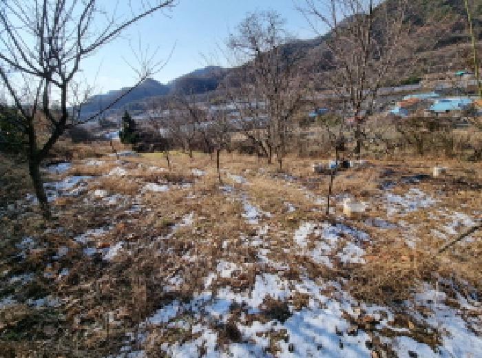 대전광역시 동구 삼괴동 25 전 경매 사진 14