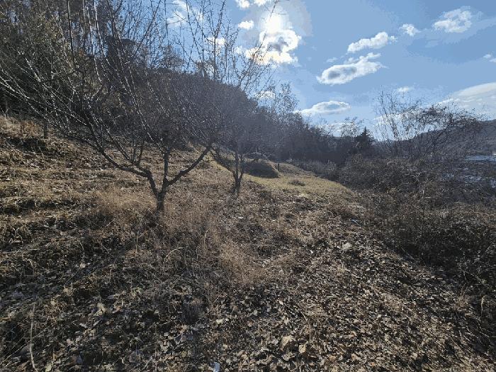 대전광역시 동구 삼괴동 25 전 경매 사진 2