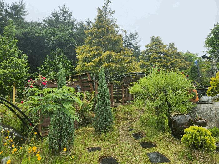충청남도 보령시 신흑동 558-35 근린시설 경매 사진 12