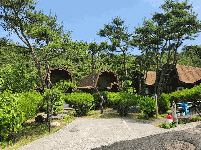충청남도 보령시 신흑동 545-23 답 경매 사진 20