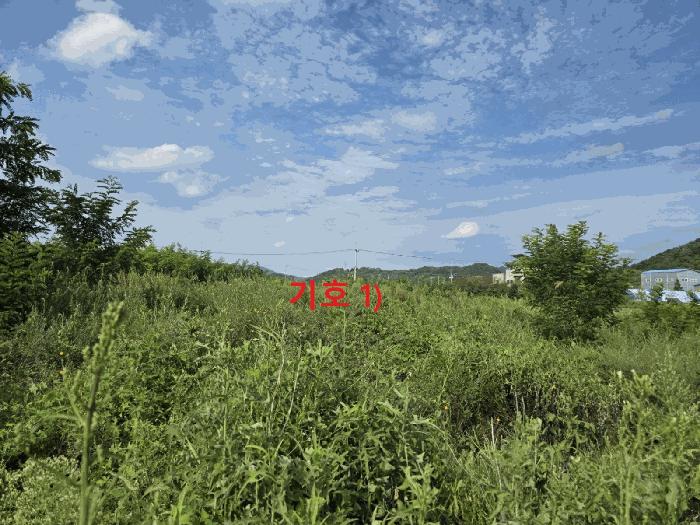 경상북도 성주군 성주읍 예산리 271-8 전 경매 사진 1