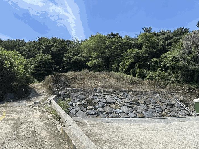 충청남도 보령시 남곡동 815-18 근린시설 경매 사진 11