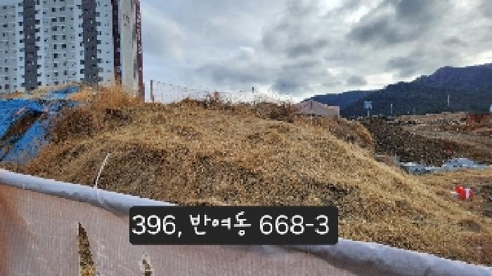 부산광역시 해운대구 반여동 668-1 임야 경매 사진 10