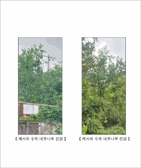 충청남도 홍성군 홍성읍 월산리 720-1 근린주택 경매 사진 3