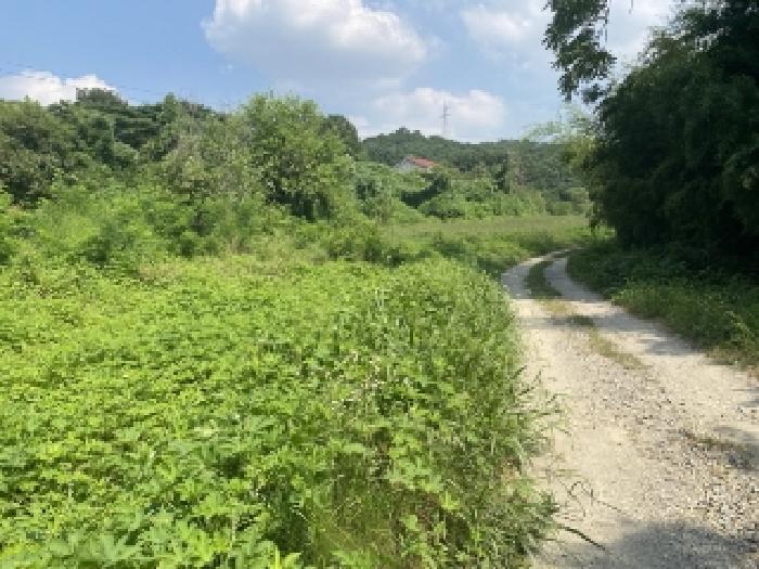 충청남도 당진시 송악읍 가학리 538 전 경매 사진 19