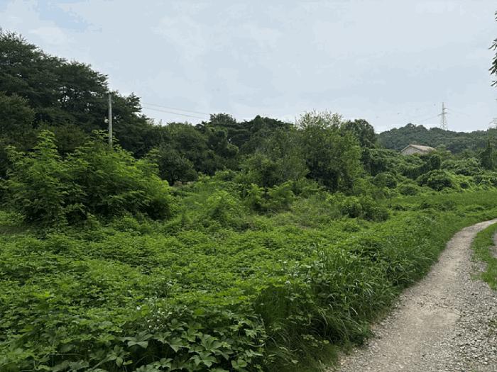 충청남도 당진시 송악읍 가학리 538 전 경매 사진 3