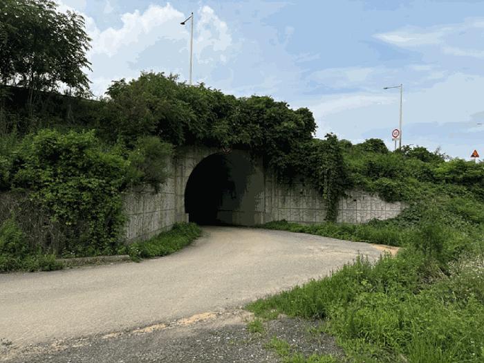 충청남도 당진시 송악읍 가학리 538 전 경매 사진 6