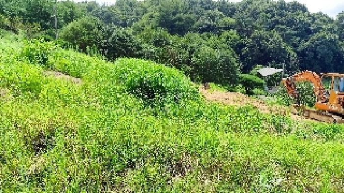 충청남도 홍성군 서부면 궁리 691-1 전 경매 사진 16
