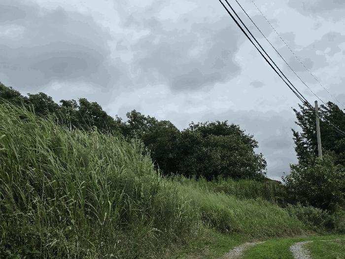 충청남도 홍성군 서부면 궁리 691-1 전 경매 사진 5