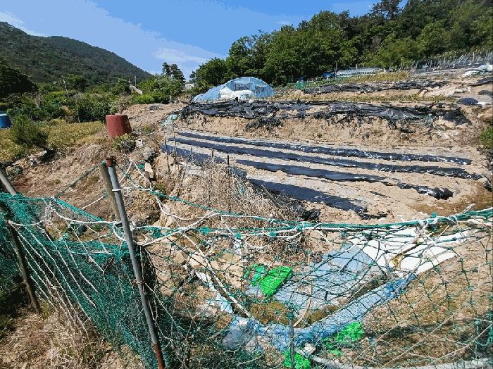 부산광역시 기장군 기장읍 대변리 161 답 경매 사진 1