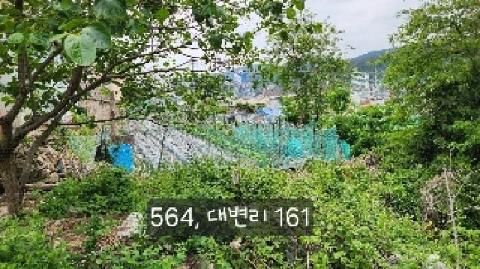 부산광역시 기장군 기장읍 대변리 161 답 경매 사진 10