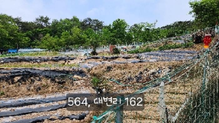 부산광역시 기장군 기장읍 대변리 161 답 경매 사진 12
