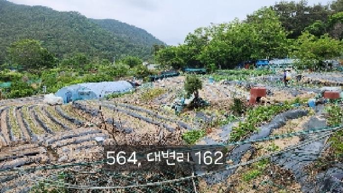 부산광역시 기장군 기장읍 대변리 161 답 경매 사진 13