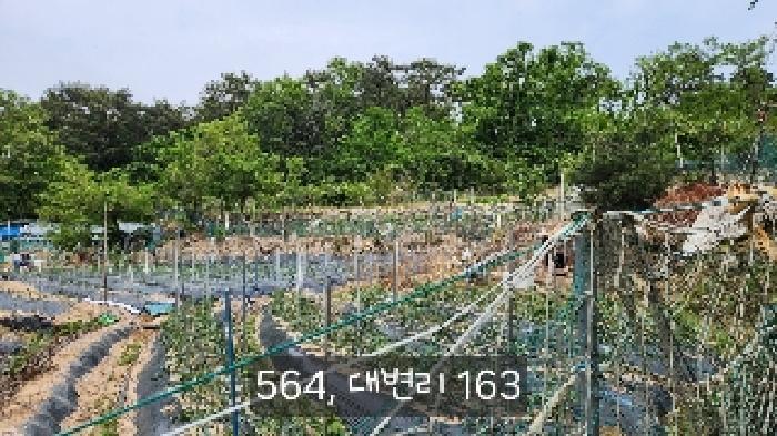 부산광역시 기장군 기장읍 대변리 161 답 경매 사진 14