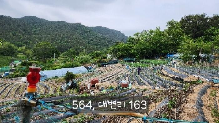 부산광역시 기장군 기장읍 대변리 161 답 경매 사진 16
