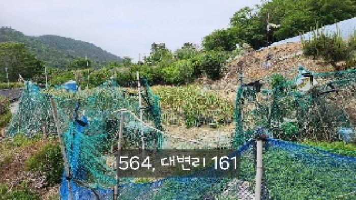 부산광역시 기장군 기장읍 대변리 161 답 경매 사진 18