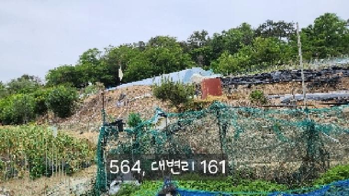 부산광역시 기장군 기장읍 대변리 161 답 경매 사진 19